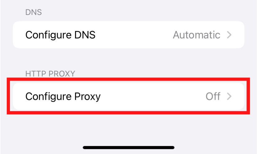 Écran Configurer DNS et Configurer les paramètres du proxy.