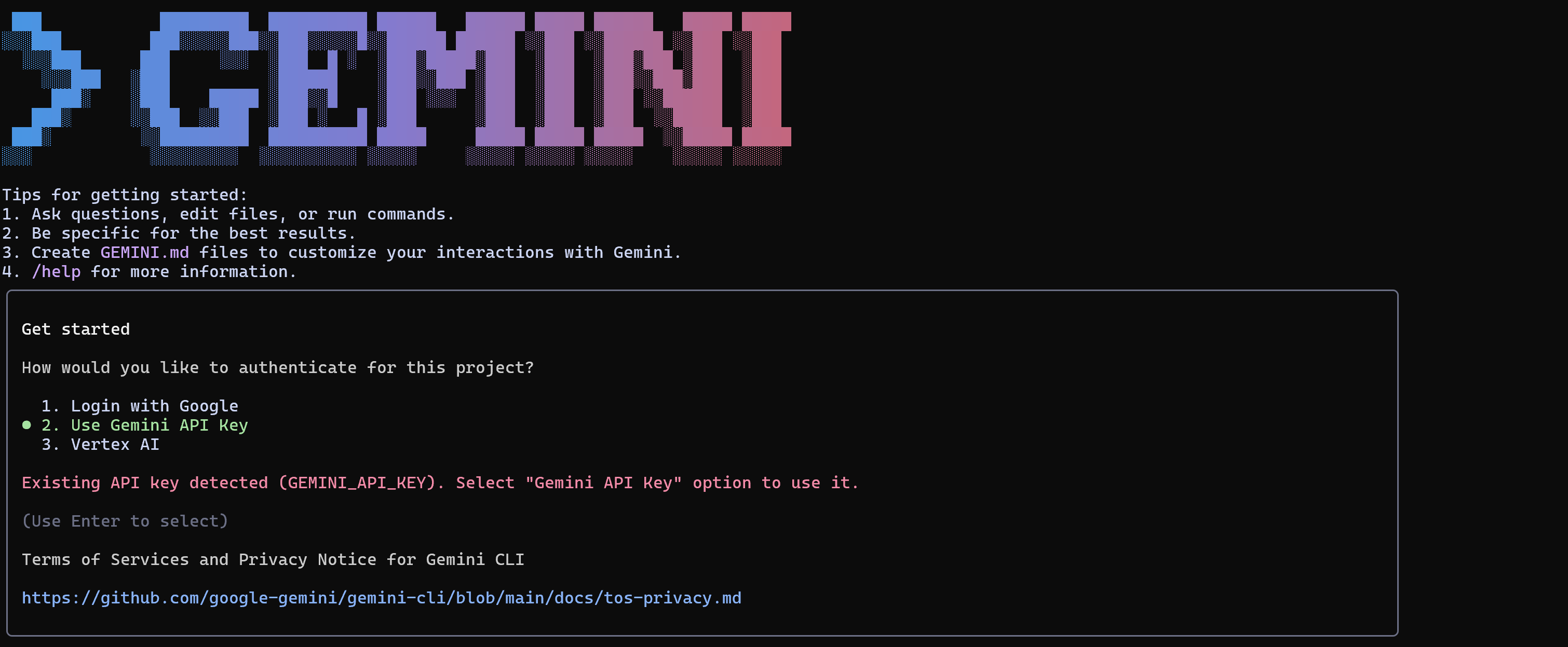 Vue de l'authentification de la CLI Gemini
