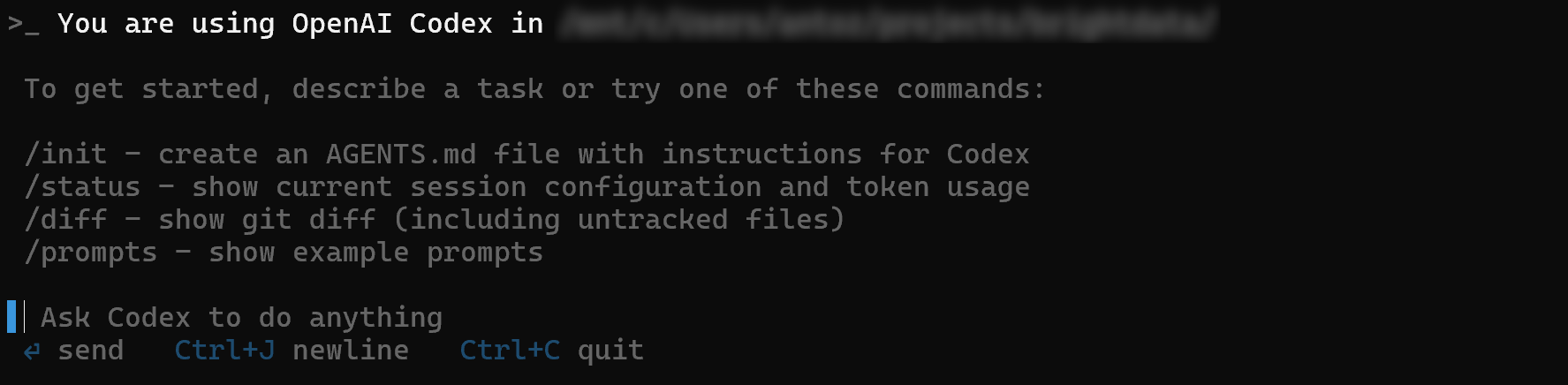 La vue de l'invite de l'OpenAI Codex CLI