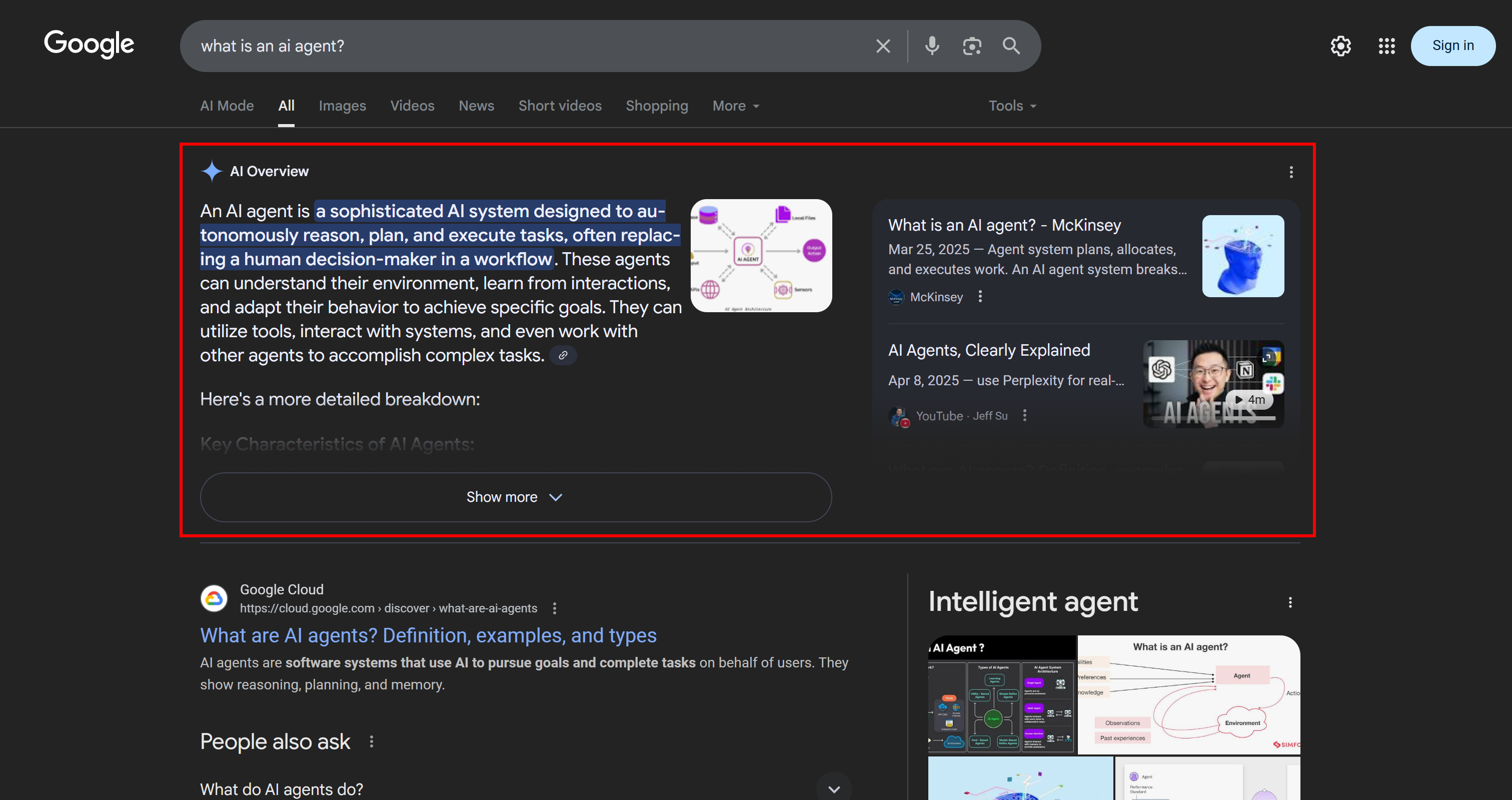 Un exemple d'aperçu de Google AI