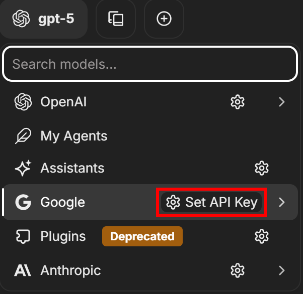 Pressing the “Set API key” button