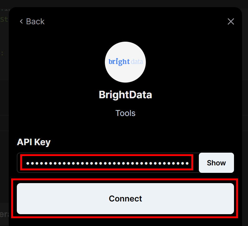 Pasting your Bright Data API key and clicking “Connect”