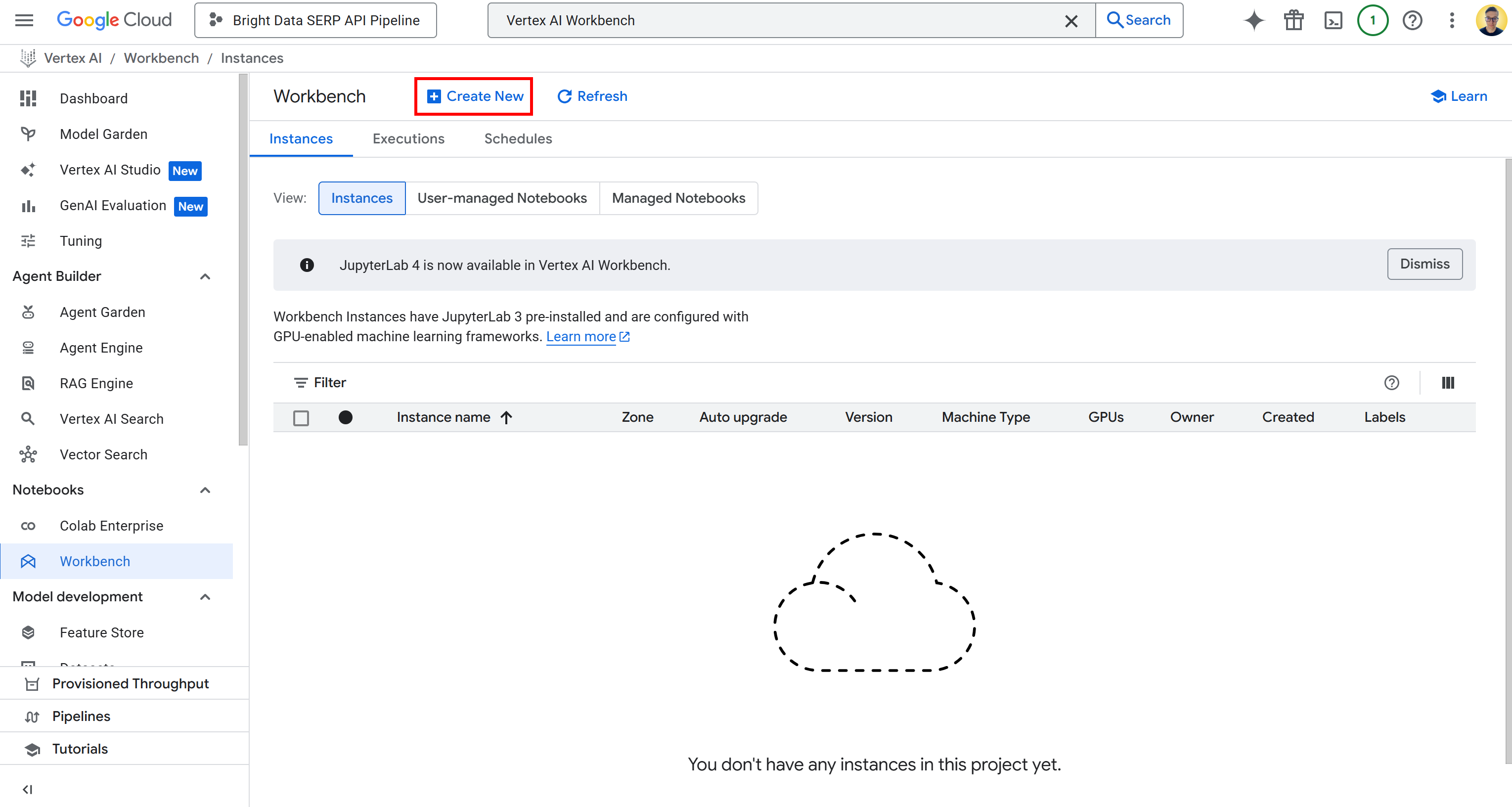 Pressing the “Create New” button